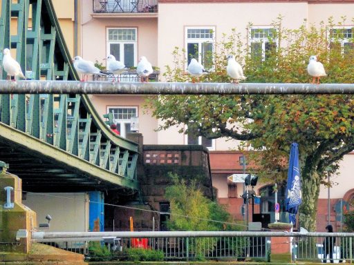 Landeplatz Eisener Steg in Frankfurt © Hartmut Trieb (Frankfurt)